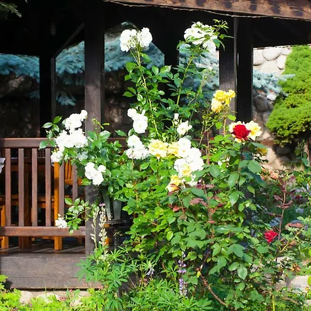 Hotel Tanne
