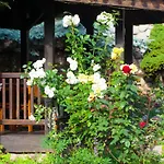 Hotel Tanne