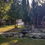 Tanne Hotel 4*