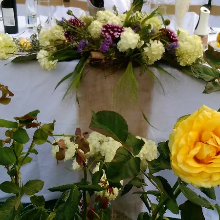танне