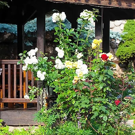 Hotel Tanne 4*