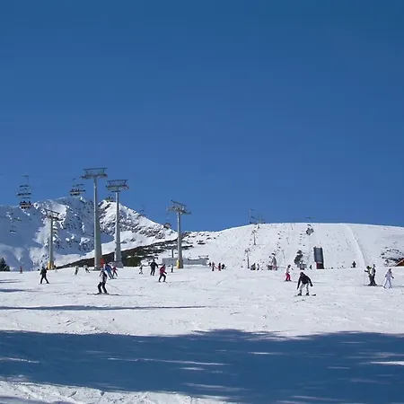 Tanne 4*