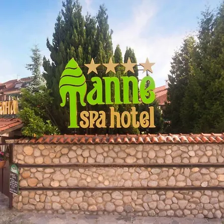 Tanne Готель 4*